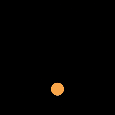 Capa 6